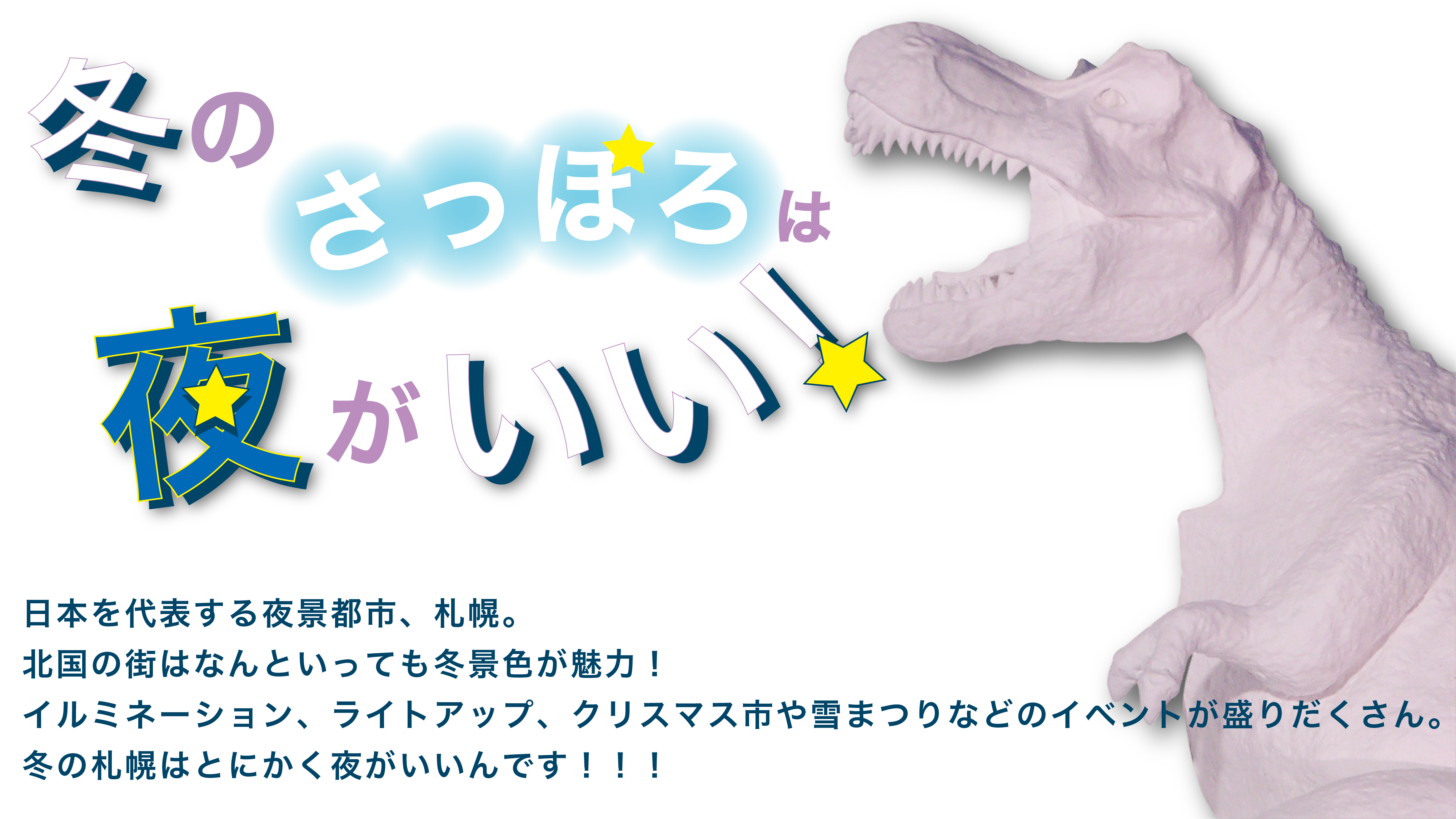 冬の札幌は夜がいいんです！